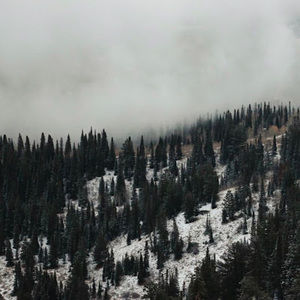 Meet your Posher, Corinne